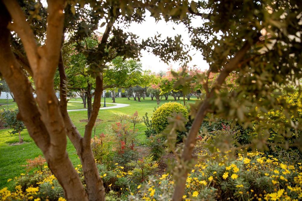 Pastoral Hotel - Kfar Blum Extérieur photo